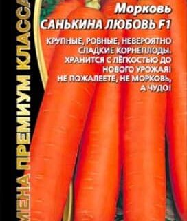 Морковь Санькина любовь УД
