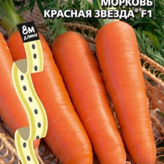 Морковь на ленте Красная звезда УД
