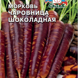 Морковь Чаровница шоколадная Седек